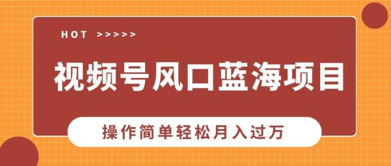 （13945期）视频号风口蓝海项目，中老年人的流量密码，操作简单轻松月入过万-云创智库