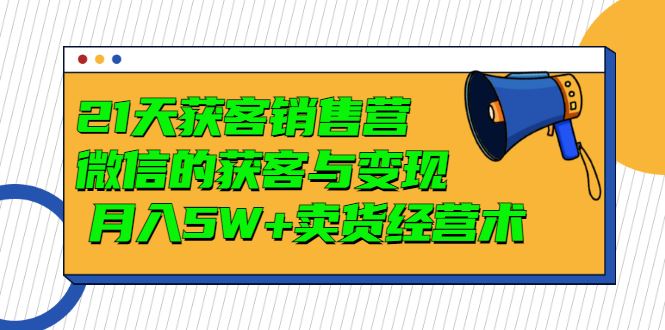 （2997期）21天获客销售营，带你微信的获客与变现  月入5W+卖货经营术-云创智库