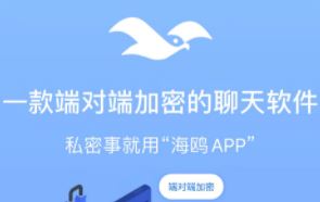 （3275期）【引流必备】蝙蝠同款平台海鸥 全自动群发器 支持发送图片文字【永久脚本】-云创智库