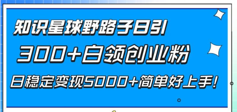 （8315期）知识星球野路子日引300+白领创业粉，日稳定变现5000+简单好上手！-云创智库