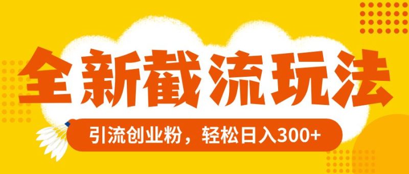 （8025期）全新截流玩法，精准引流创业粉，轻松日入300+-云创智库
