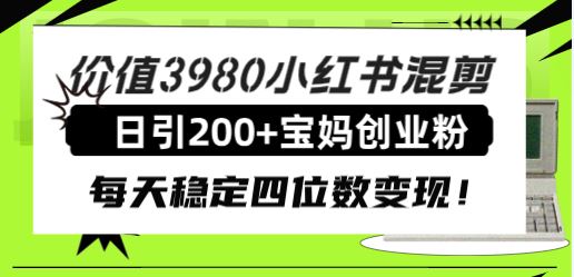 （7893期）价值3980小红书混剪日引200+宝妈创业粉，每天稳定四位数变现！-云创智库