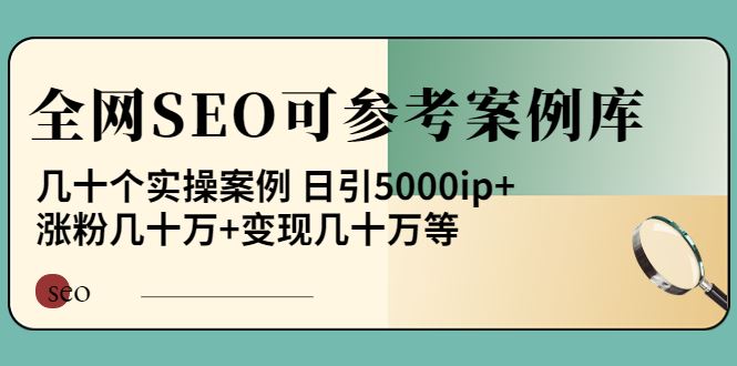 （3834期）《全网SEO可参考案例库》几十个实操案例 日引5000ip+涨粉百W+变现几十W等!-云创智库