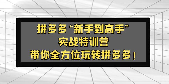 （5173期）拼多多“新手到高手”实战特训营：带你全方位玩转拼多多！-云创智库
