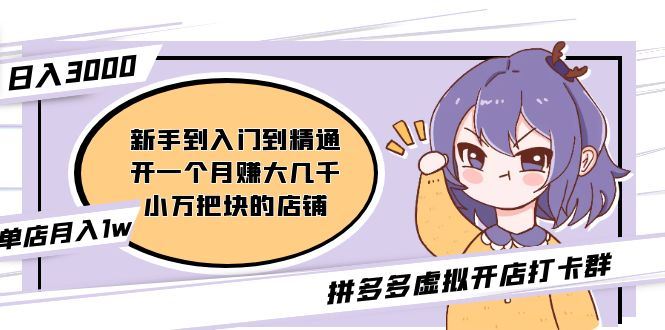 （5023期）拼多多虚拟开店打卡群：入门到精通（昨日群里有小伙伴日入3000+）2月26更新-云创智库