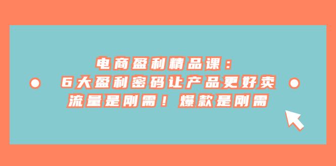 （6954期）电商 盈利精品课：6大盈利 密码让产品更好卖，流量是刚需！爆款是刚需-云创智库