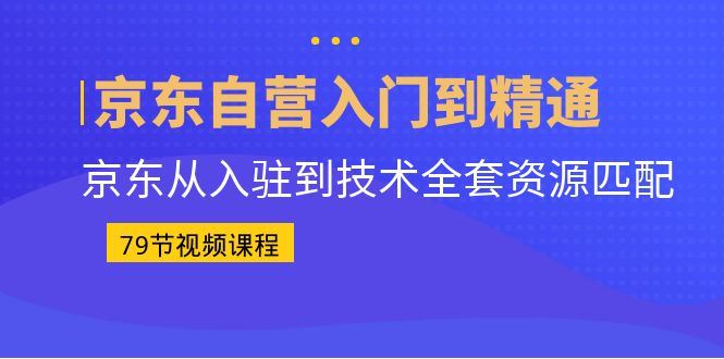 （6901期）京东自营入门到精通：京东从入驻到技术全套资源匹配（79节课）-云创智库