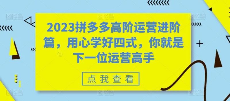 （6193期）2023拼多多高阶运营进阶篇，用心学好四式，你就是下一位运营高手-云创智库
