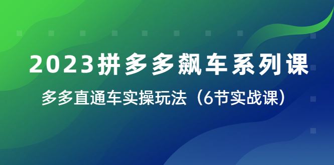 （6030期）2023拼多多飙车系列课，多多直通车实操玩法（6节实战课）-云创智库