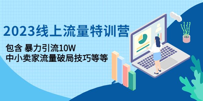 （4567期）2023线上流量特训营：包含暴力引流10W+中小卖家流量破局技巧等等-云创智库