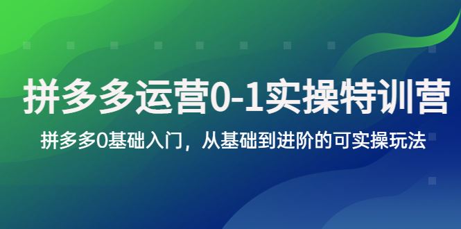 （5747期）拼多多-运营0-1实操训练营，拼多多0基础入门，从基础到进阶的可实操玩法-云创智库