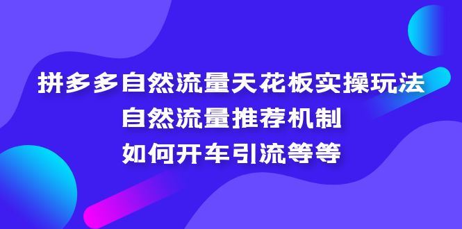 （5327期）拼多多自然流量天花板实操玩法：自然流量推荐机制，如何开车引流等等-云创智库