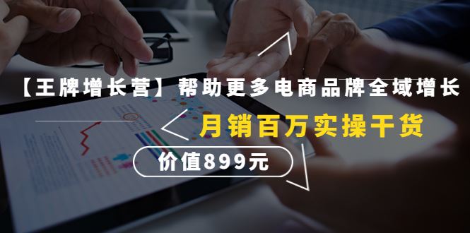 （4264期）【王牌增长营】帮助更多电商品牌全域增长，月销百万实操干货，价值899元-云创智库