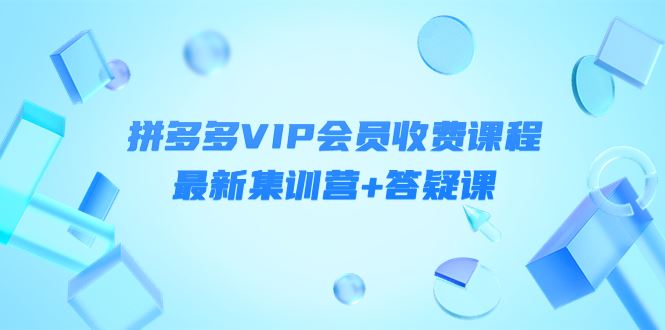 （4127期）某社群·拼多多VIP会员收费课程，最新集训营+答疑课-价值3299元-云创智库