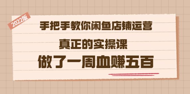 （3334期）2022版《手把手教你闲鱼店铺运营》真正的实操课 做了一周血赚五百 (16节课)-云创智库