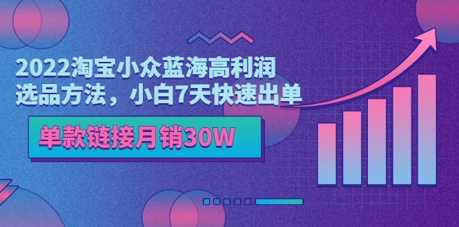 （3208期）2022淘宝小众蓝海高利润选品方法，小白7天快速出单，单款链接月销30W-云创智库