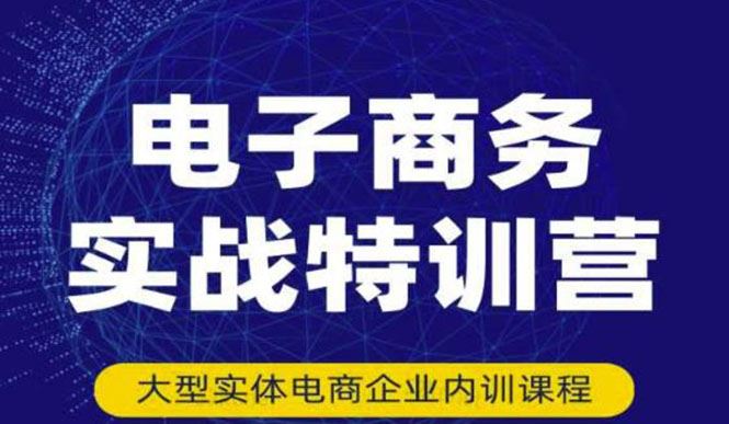（3101期）电子商务实战特训营，全方位带你入门电商，308种方式玩转电商-云创智库