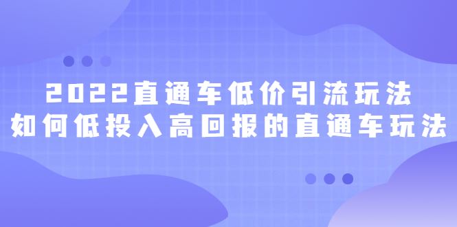 （2415期）2022直通车低价引流玩法，教大家如何低投入高回报的直通车玩法-云创智库
