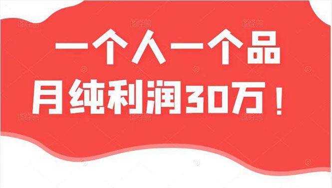 （2343期）某公众号付费文章：一个人一个品月纯利润30万的蓝海电商经典案例！-云创智库