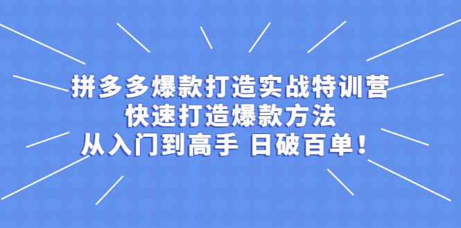 （2237期）拼多多爆款打造实战特训营：快速打造爆款方法，从入门到高手 日破百单-云创智库