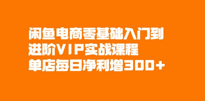 （2082期）闲鱼电商零基础入门到进阶VIP实战课程，单店每日净利增300+-云创智库