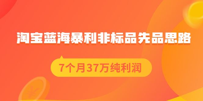 （2054期）淘宝蓝海暴利非标品先品思路，7个月37万纯利润，压箱干货分享！-云创智库