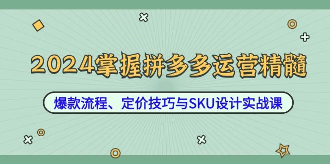 （12703期）2024掌握拼多多运营精髓：爆款流程、定价技巧与SKU设计实战课-云创智库