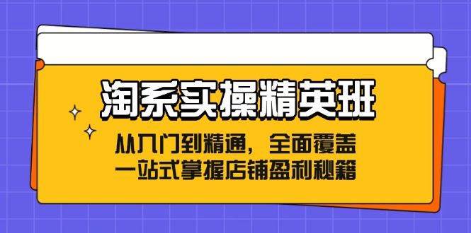 （12276期）淘系实操精英班：从入门到精通，全面覆盖，一站式掌握店铺盈利秘籍-云创智库