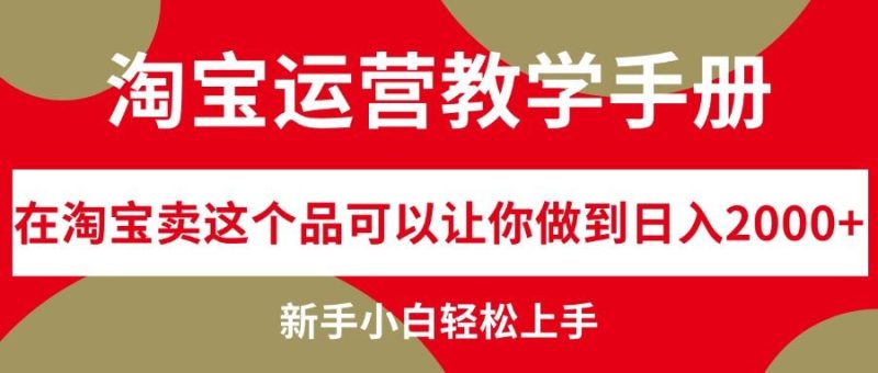 （12351期）淘宝运营教学手册，在淘宝卖这个品可以让你做到日入2000+，新手小白轻…-云创智库