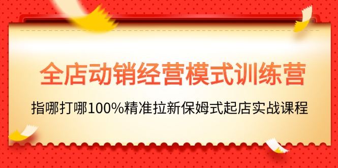 （11460期）全店动销-经营模式训练营，指哪打哪100%精准拉新保姆式起店实战课程-云创智库