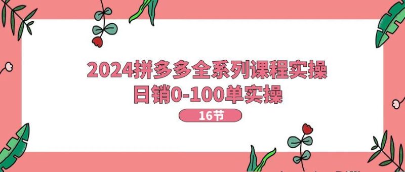 （11222期）2024拼多多全系列课程实操，日销0-100单实操【16节课】-云创智库
