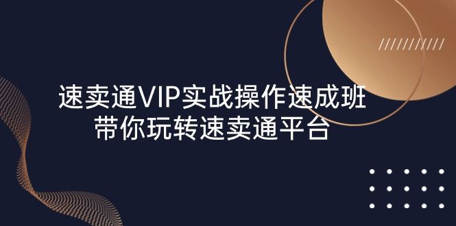 （10935期）速卖通 VIP实战操作-速成班，带你玩转速卖通平台（23节）-云创智库