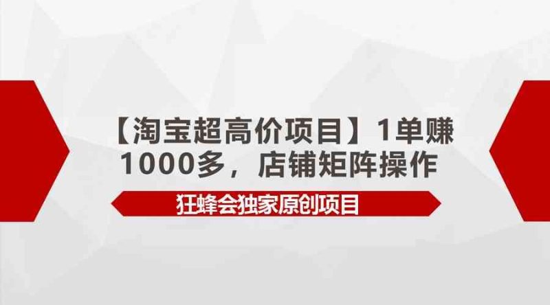 （9849期）【淘宝超高价项目】1单赚1000多，店铺矩阵操作-云创智库