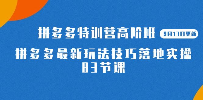（7295期）2023拼多多·特训营高阶班【9月13日更新】拼多多最新玩法技巧落地实操-83节-云创智库