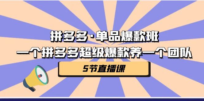 （7019期）拼多多·单品爆款班，一个拼多多超级爆款养一个团队（5节直播课）-云创智库