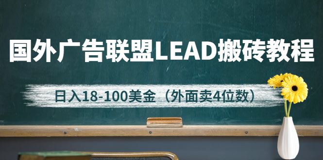（2616期）外面卖4位数的国外广告联盟LEAD搬砖教程，日入18-100美金（教程+软件）-云创智库