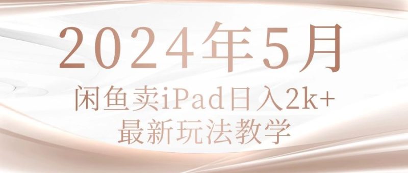 （10459期）2024年5月闲鱼卖ipad日入2k，最新玩法教学-云创智库