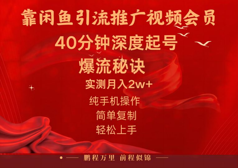 （10895期）闲鱼暴力引流推广视频会员，能做到日入2W+，操作简单-云创智库