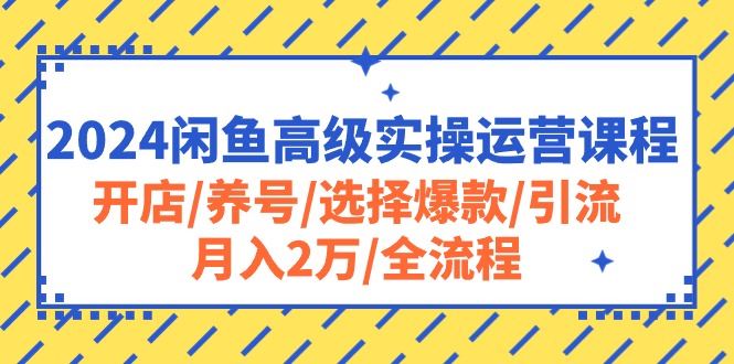 （10711期）2024闲鱼高级实操运营课程：开店/养号/选择爆款/引流/月入2万/全流程-云创智库