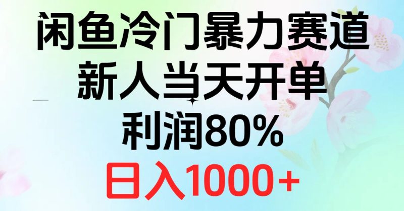 （10985期）2024闲鱼冷门暴力赛道，新人当天开单，利润80%，日入1000+-云创智库