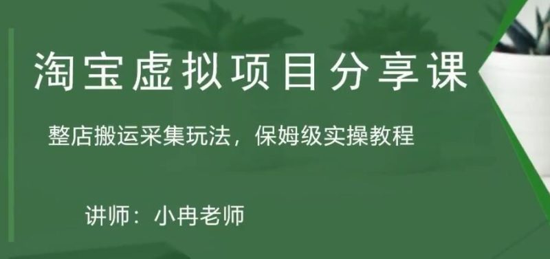 （5090期）淘宝虚拟整店搬运采集玩法分享课：整店搬运采集玩法，保姆级实操教程-云创智库