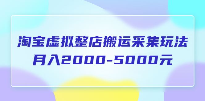 （5931期）淘宝虚拟整店搬运采集玩法分享课：月入2000-5000元（5节课）-云创智库