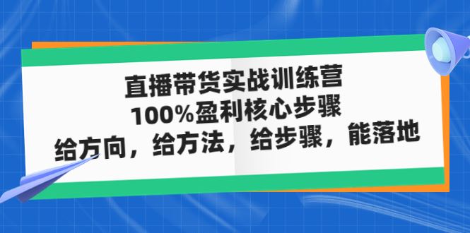 （4785期）直播带货实战训练营：100%盈利核心步骤，给方向，给方法，给步骤，能落地-云创智库