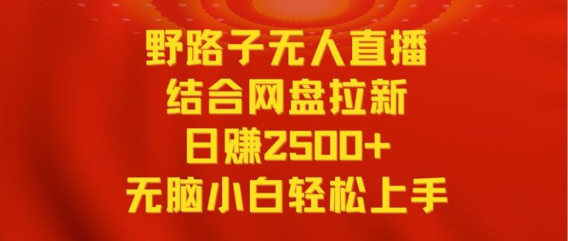 （9025期）无人直播野路子结合网盘拉新，日赚2500+多平台变现，小白无脑轻松上手操作-云创智库