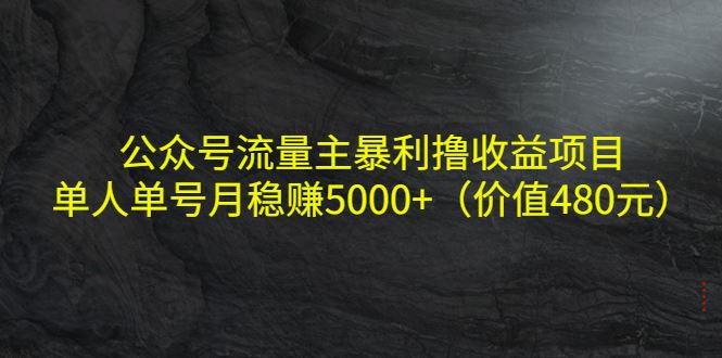 （4011期）公众号流量主暴利撸收益项目，单人单号月稳赚5000+（价值480元）-云创智库