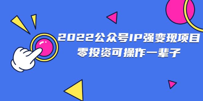 （2460期）2022公众号IP强变现项目，零投资可操作一辈子-云创智库