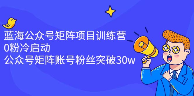 （2405期）蓝海公众号矩阵项目训练营，0粉冷启动，公众号矩阵账号粉丝突破30w-云创智库
