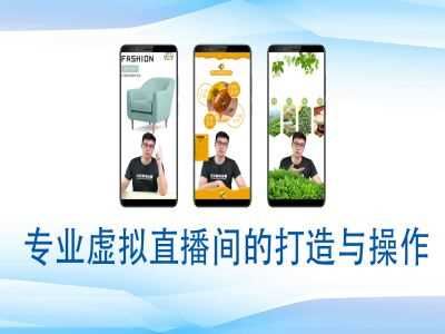 个人虚拟直播间的搭建与操作，专业虚拟直播间的打造与操作-云创智库