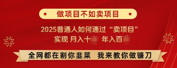 必看，做项目不如卖项目，2025普通人如何通过“卖项目”实现月入十个，年入百个-云创智库