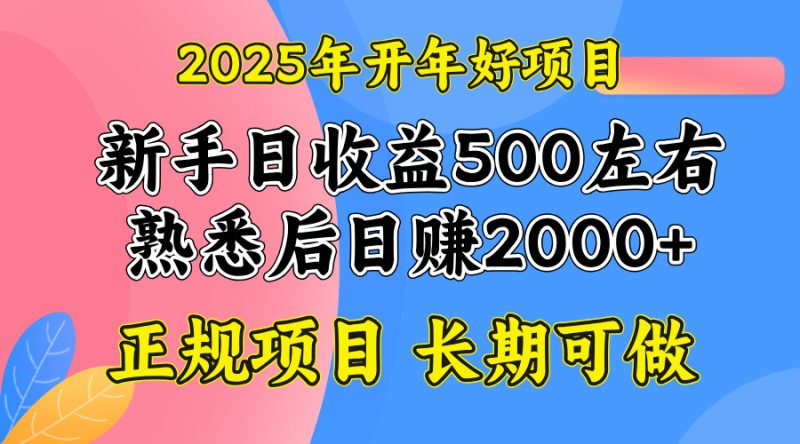 2025开年好项目，单号日收益2000左右-云创智库